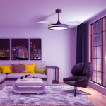 Фото 3 8728 Люстра потолочная-вентилятор RAFAGA