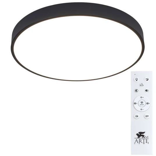 Фото Потолочный светильник Arte Lamp ARENA A2672PL-1BK