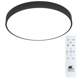 Фото Потолочный светильник Arte Lamp ARENA A2672PL-1BK