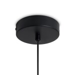 Фото 4 Подвесной светильник Freya FR5483PL-01B1