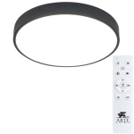 Фото Потолочный светильник Arte Lamp ARENA A2661PL-1BK