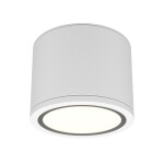 Фото 1 Потолочный светильник Technical C095CL-GX53-W