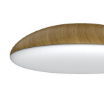 Фото 2 8136 Потолочный светильник KAZZ