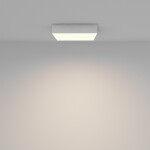 Фото 1 Потолочный светильник Technical C032CL-36W3K-SQ-W