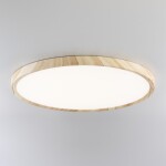 Фото 2 CL738322V Бейсик Клен Св-к Накл. LED 32W*Мульти