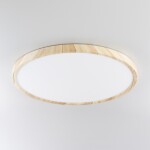 Фото 3 CL738322V Бейсик Клен Св-к Накл. LED 32W*Мульти