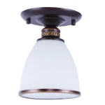 Фото Потолочный светильник Arte Lamp BONITO A9518PL-1BA