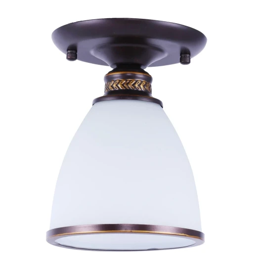 Фото Потолочный светильник Arte Lamp BONITO A9518PL-1BA