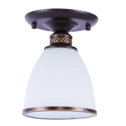 Фото Потолочный светильник Arte Lamp BONITO A9518PL-1BA