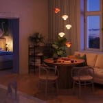 Фото 1 Подвесной светильник Maytoni MOD359PL-L17BS3K