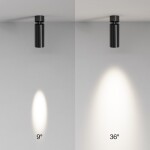 Фото 7 Потолочный светильник Technical C055CL-L12W4K-SS-B
