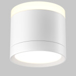 Фото 3 Потолочный светильник Technical C120CL-GX53-W