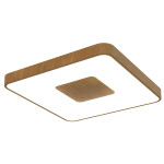 Фото 7918 Потолочный светильник COIN