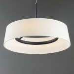 Фото 1 Подвесной светильник Freya FR6132PL-L15B