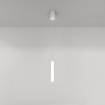 Фото 1 Подвесной светильник Technical P022PL-L10W