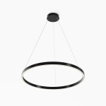 Фото 1 Подвесной светильник Maytoni MOD058PL-L42BK