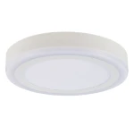 Фото Потолочный светильник Arte Lamp ANTARES A7824PL-2WH