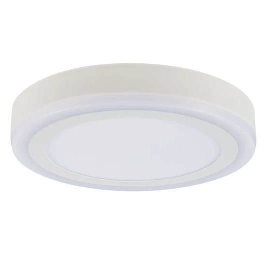 Фото Потолочный светильник Arte Lamp ANTARES A7824PL-2WH