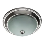 Фото Потолочный светильник Arte Lamp ALTA A3011PL-2SS