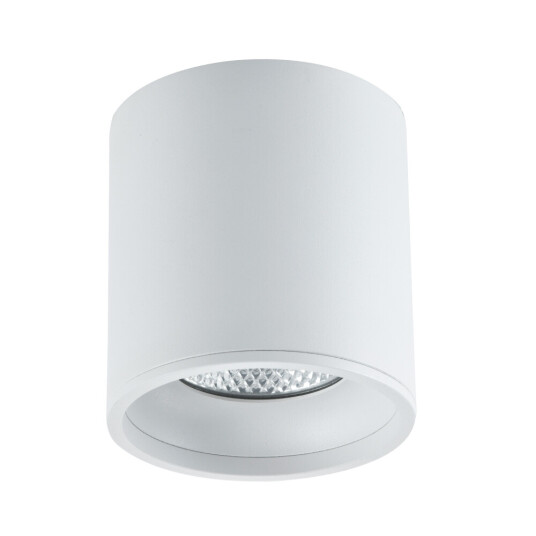 Фото ST165.532.12 Светильник потолочный Белый LED 1*12W 3000K 840Lm Ra>90 36° IP44 D80xH85 85-265V Накладные светильники