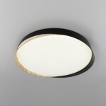 Фото 2 CL754451G BONNY Черный+Клен LED Св-к с пультом