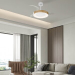 Фото 3 9058 Люстра-вентилятор NISEKO FAN L