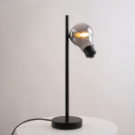 Фото 1 Настольный светильник Freya FR5372TL-01B