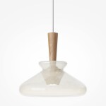 Фото 1 Подвесной светильник Maytoni MOD405PL-01W