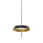 Фото 5 Подвесной светильник MD18001061-1A  black/gold