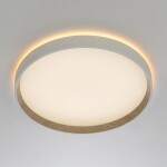 Фото 2 CL750320R ETALON Белый+Бук с пультом и RGB