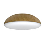 Фото 8133 Потолочный светильник KAZZ