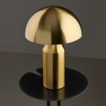 Фото 1 Настольный светильник Freya FR5218TL-01BS