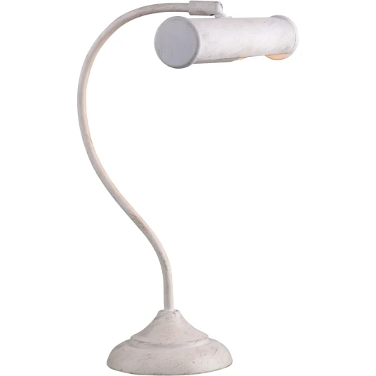 Фото Офисная настольная лампа Arte Lamp PICTURE LIGHTS BASIC A5023LT-1WG