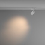 Фото 1 Трековый светильник Technical TR029-3-10W3K-M-W