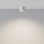 Фото 1 Потолочный светильник Technical C096CL-GX53-W