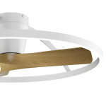 Фото 1 9045 Люстра-вентилятор NEPAL II