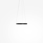 Фото 1 Подвесной светильник Maytoni MOD058PL-L22BK