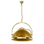 Фото 4 Потолочный подвесной светильник  PL-30863