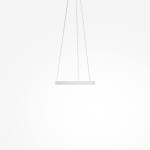 Фото 1 Подвесной светильник Maytoni MOD058PL-L22WK