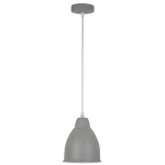 Фото Подвесной светильник Arte Lamp BRACCIO A2054SP-1GY