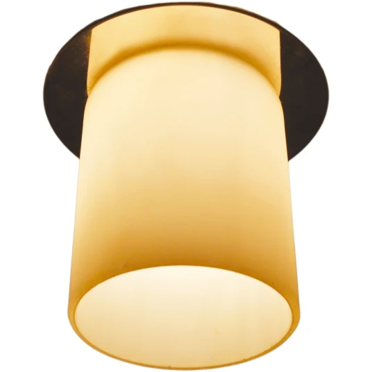 Фото Точечный встраиваемый светильник Arte Lamp COOL ICE A8551PL-1CC