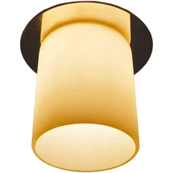 Фото Точечный встраиваемый светильник Arte Lamp COOL ICE A8551PL-1CC