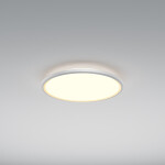 Фото 2 Потолочный светильник Maytoni MOD426CL-L43WK1