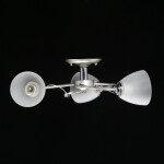 Фото 2 Люстра  676013103