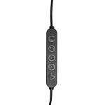 Фото 1 Офисная настольная лампа Arte Lamp FLEX A5128LT-1BK