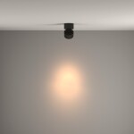 Фото 3 Потолочный светильник Technical C084CL-15W3K-B