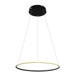 Фото Подвесная люстра Arte Lamp RAPID A2500SP-1BK