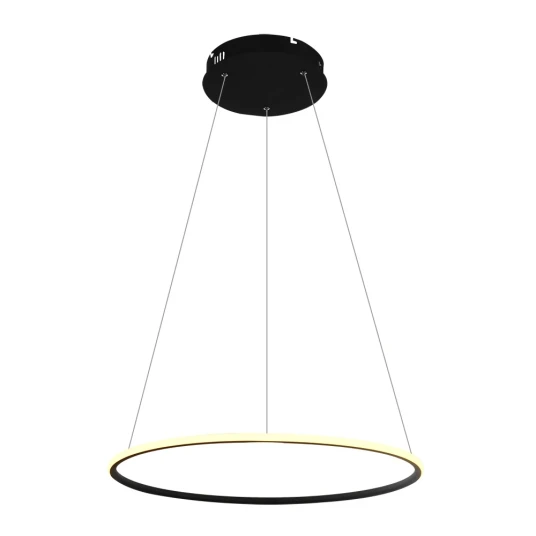 Фото Подвесная люстра Arte Lamp RAPID A2500SP-1BK