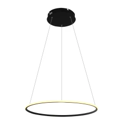 Фото Подвесная люстра Arte Lamp RAPID A2500SP-1BK