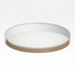 Фото 5 CL750320R ETALON Белый+Бук с пультом и RGB